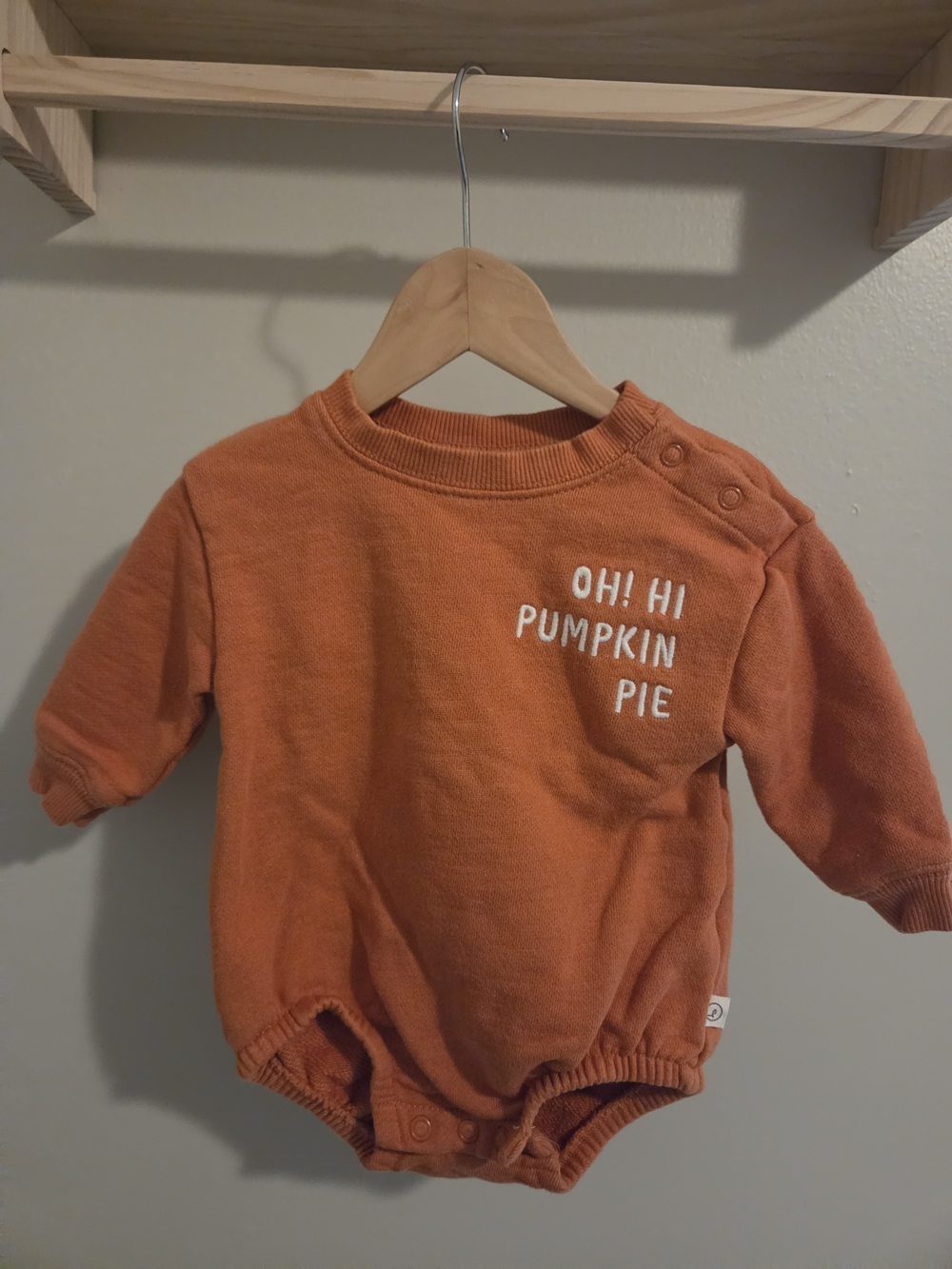 Baby 6M Organic Bodysuit 'Oh! Hi Pumpkin Pie' Long-Sleeve